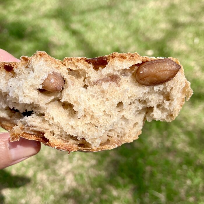 ブーランジェリーヤマシタ 落花生入りパンの断面