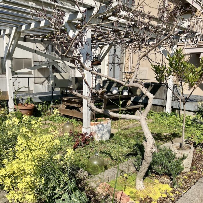 twiggy cafe 屋上ガーデン