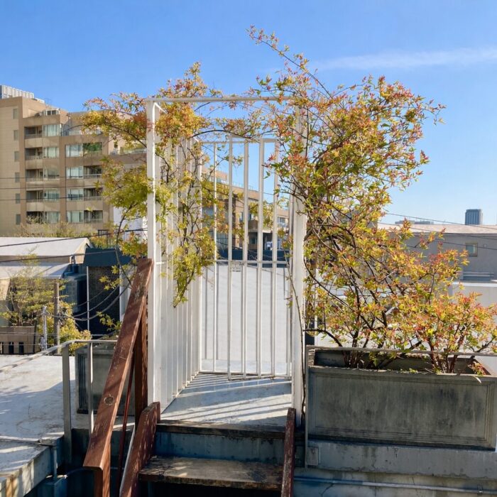 twiggy cafe 屋上テラス