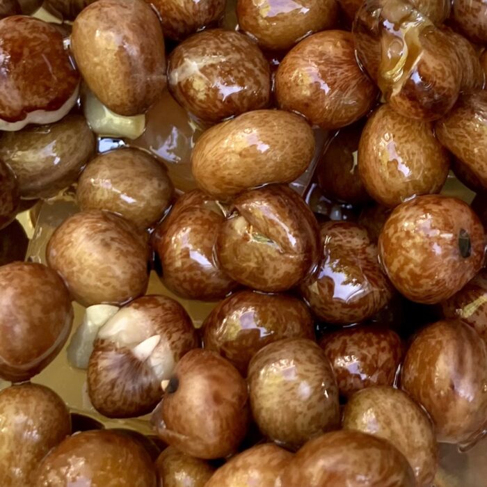 黒蜜をかけた寒天工房 讃岐屋の豆かん